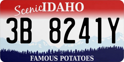 ID license plate 3B8241Y