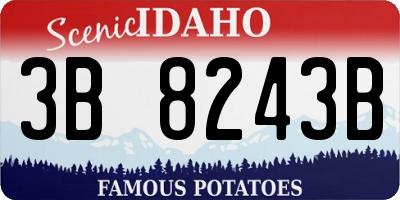 ID license plate 3B8243B