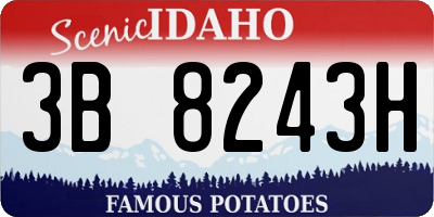 ID license plate 3B8243H