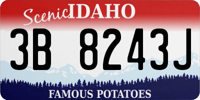 ID license plate 3B8243J