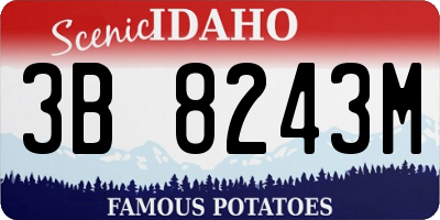 ID license plate 3B8243M