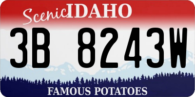 ID license plate 3B8243W
