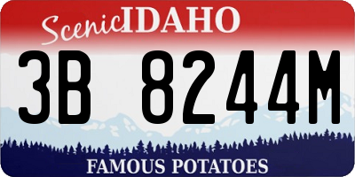 ID license plate 3B8244M