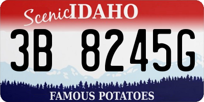 ID license plate 3B8245G
