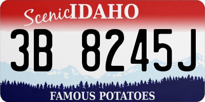 ID license plate 3B8245J