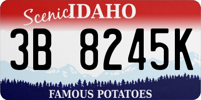 ID license plate 3B8245K