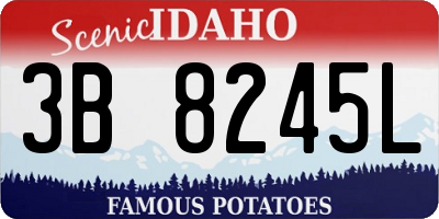 ID license plate 3B8245L