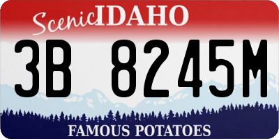 ID license plate 3B8245M
