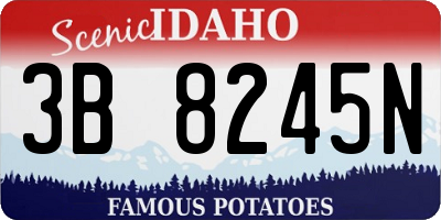 ID license plate 3B8245N