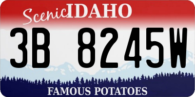 ID license plate 3B8245W