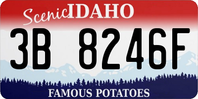 ID license plate 3B8246F