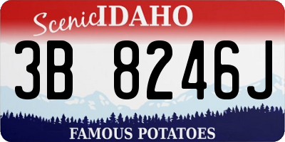 ID license plate 3B8246J