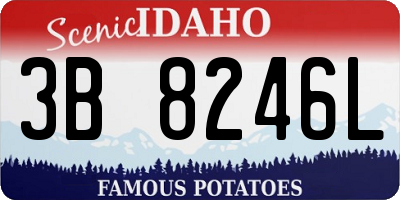 ID license plate 3B8246L