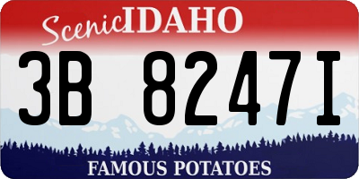 ID license plate 3B8247I