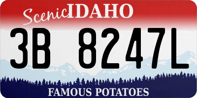 ID license plate 3B8247L