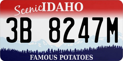 ID license plate 3B8247M