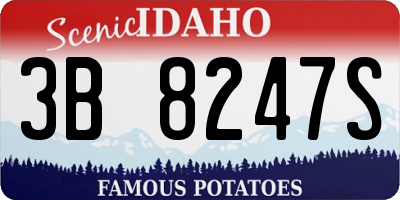 ID license plate 3B8247S