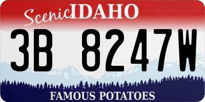 ID license plate 3B8247W