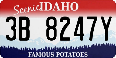ID license plate 3B8247Y