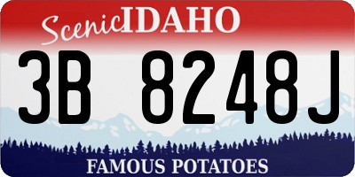 ID license plate 3B8248J