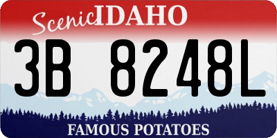 ID license plate 3B8248L