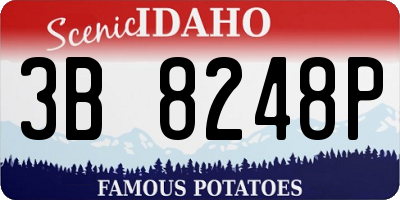 ID license plate 3B8248P
