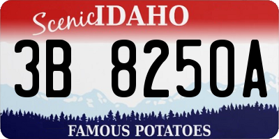 ID license plate 3B8250A