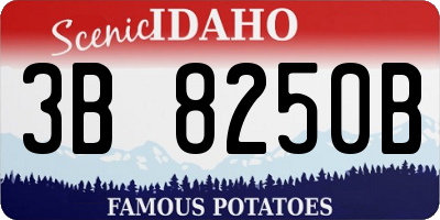 ID license plate 3B8250B