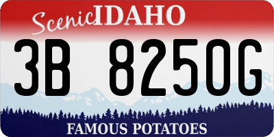 ID license plate 3B8250G