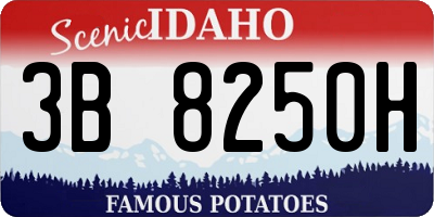 ID license plate 3B8250H
