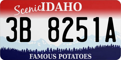 ID license plate 3B8251A
