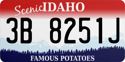 ID license plate 3B8251J