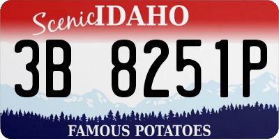 ID license plate 3B8251P