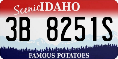 ID license plate 3B8251S