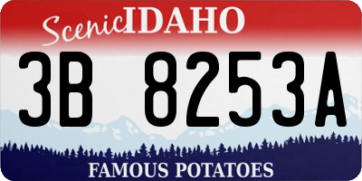 ID license plate 3B8253A