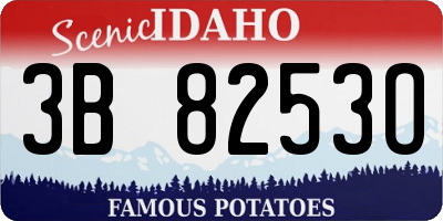 ID license plate 3B8253O
