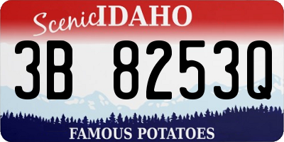 ID license plate 3B8253Q