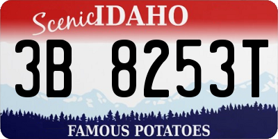 ID license plate 3B8253T