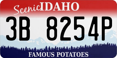 ID license plate 3B8254P