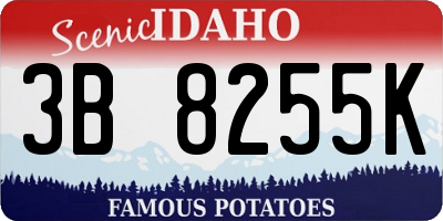 ID license plate 3B8255K
