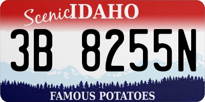 ID license plate 3B8255N