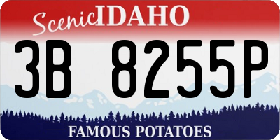 ID license plate 3B8255P