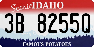 ID license plate 3B8255Q