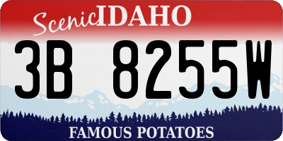ID license plate 3B8255W