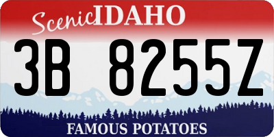 ID license plate 3B8255Z