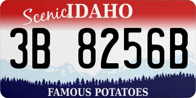 ID license plate 3B8256B