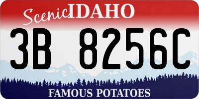 ID license plate 3B8256C