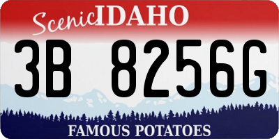 ID license plate 3B8256G