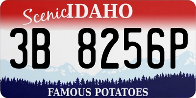 ID license plate 3B8256P