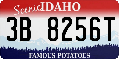 ID license plate 3B8256T
